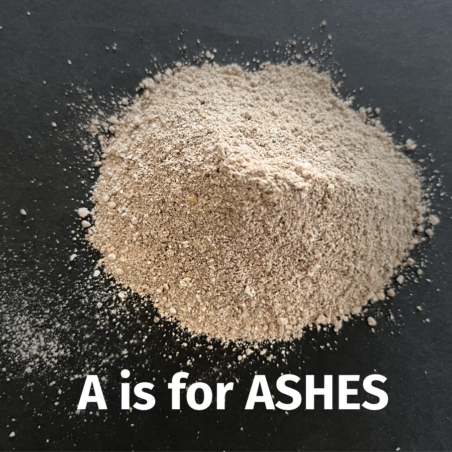 A is for Ashes