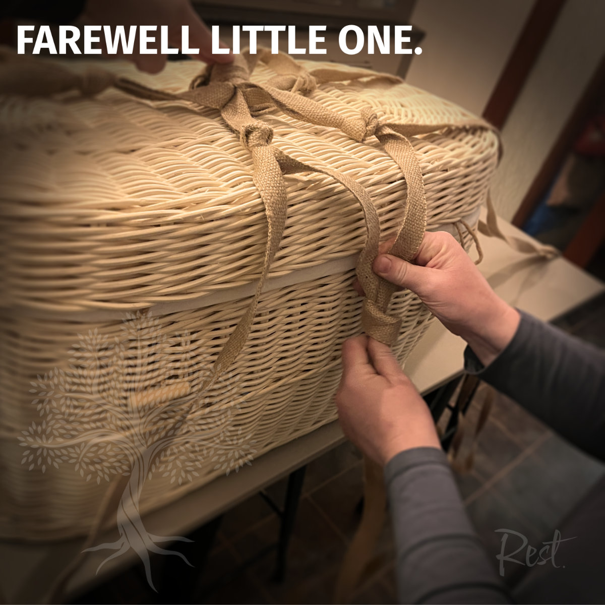 Farewell little one