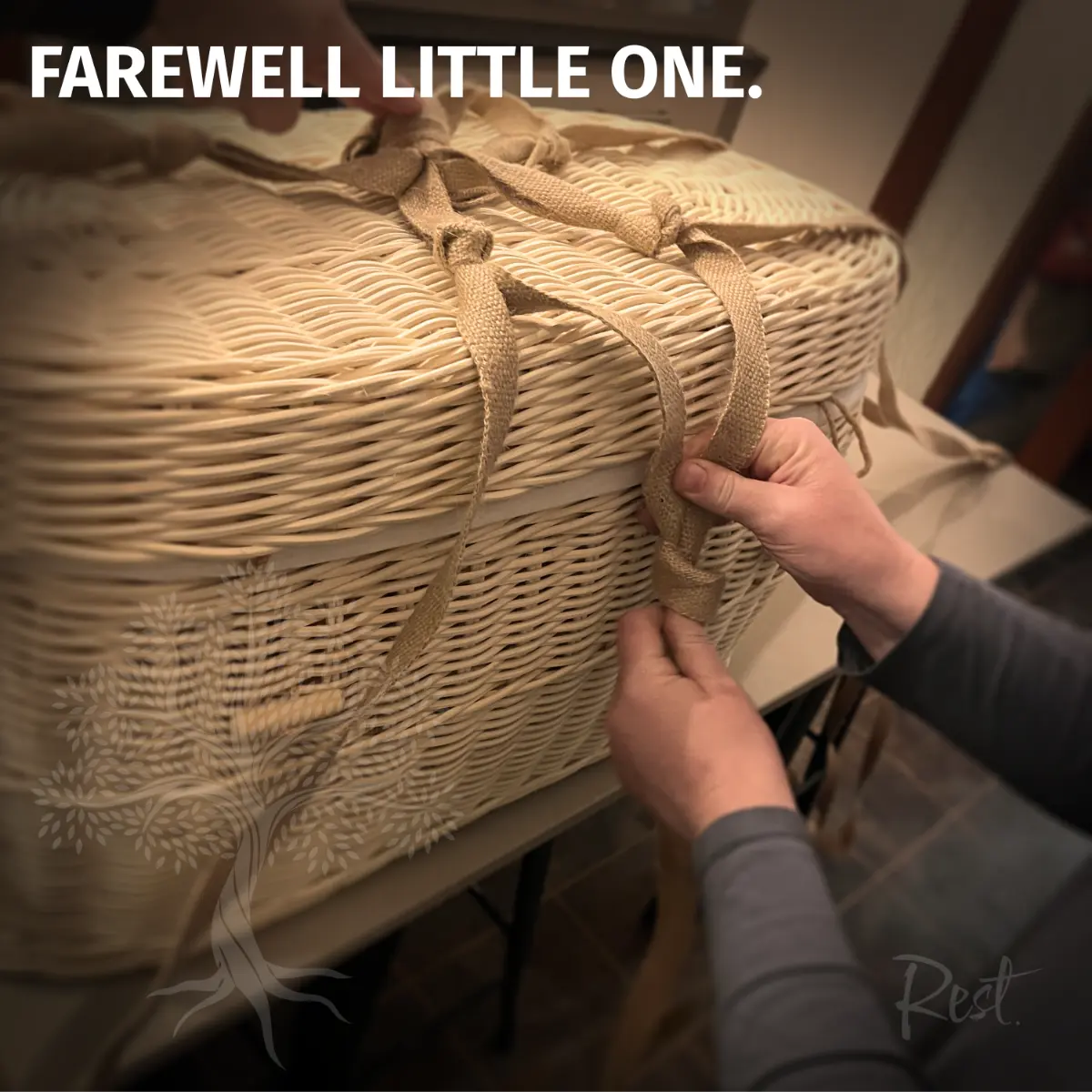Farewell little one