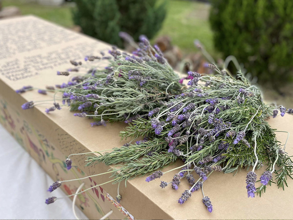 Lavender on Daisybox