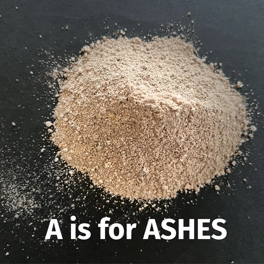 A is for Ashes