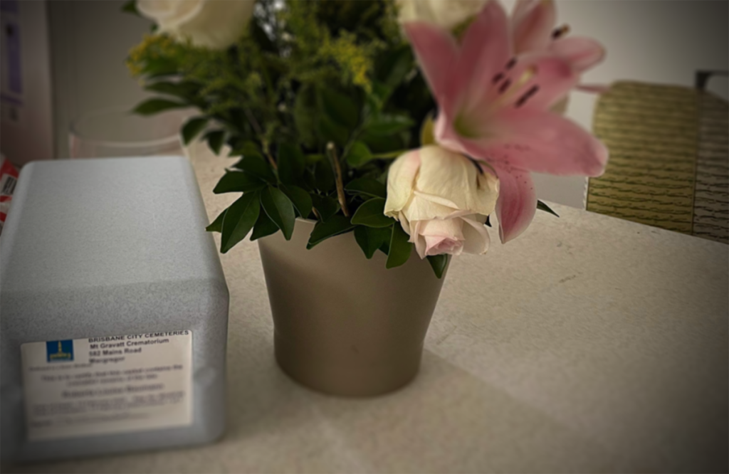 Ashes returned