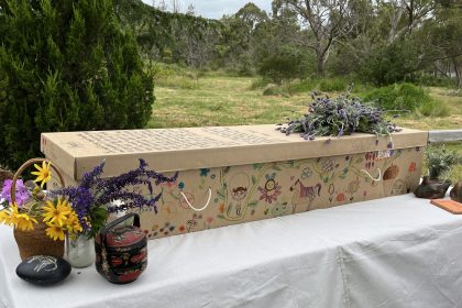 Daisy Box