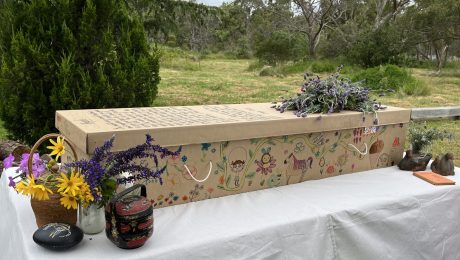 Daisy Box