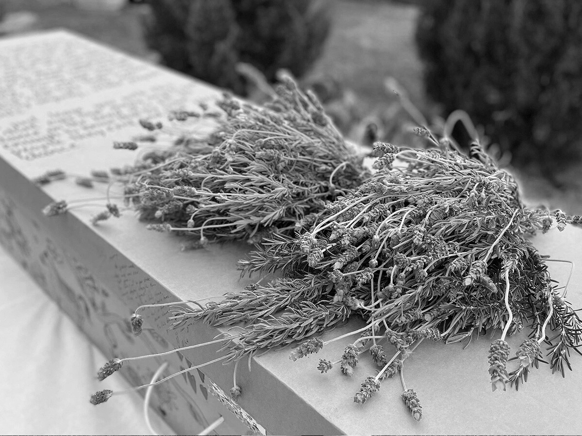 Bare Cremation Stanthorpe